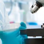 Biomedical Research Career Programme