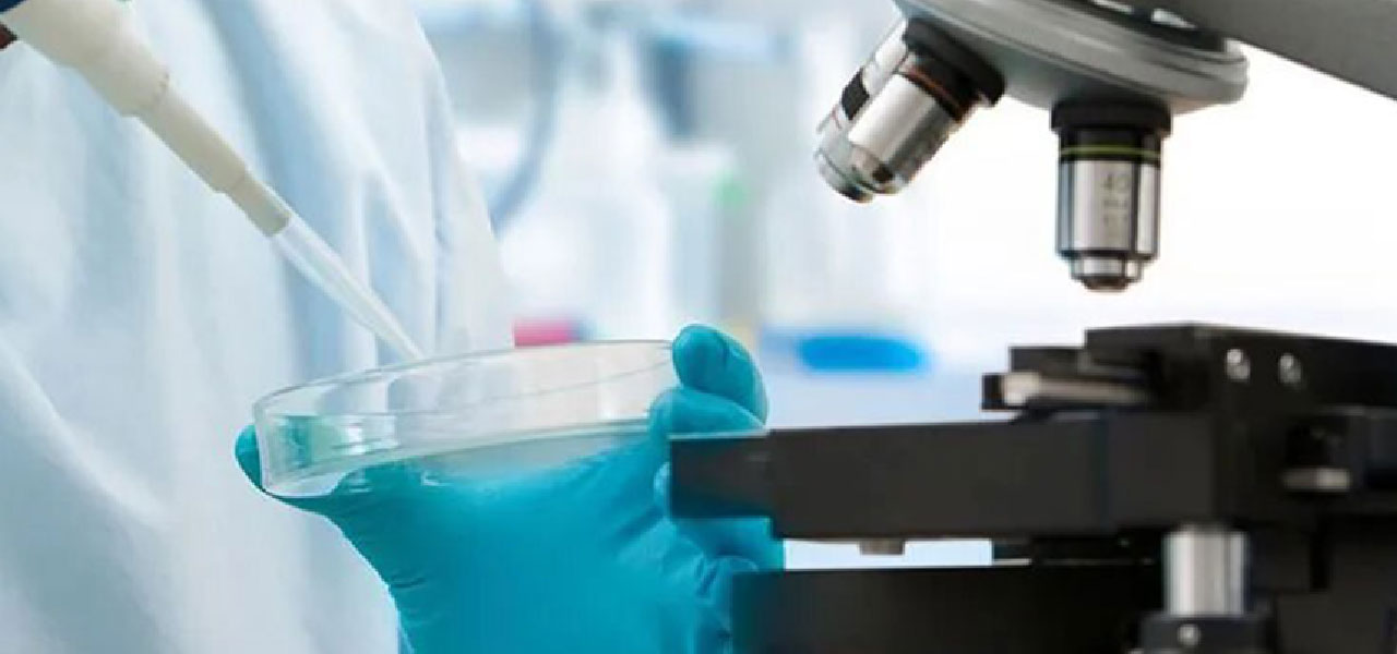 Biomedical Research Career Programme